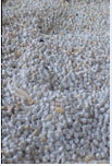 PVC pellets